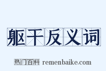 躯干反义词是什么意思的图片